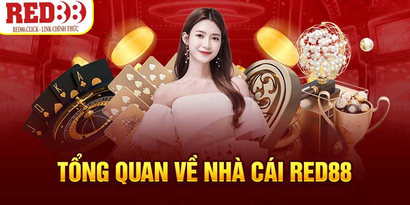 Hình minh họa — Kg88